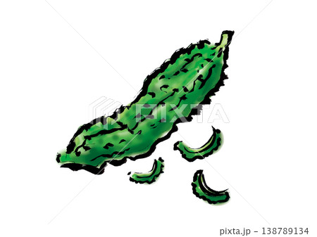 ゴーヤ　筆書きイラスト 138789134