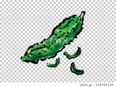 ゴーヤ　筆書きイラスト 138789134