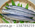 さんま 138789259