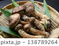 まつたけ 138789264