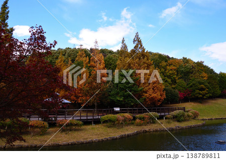 古賀グリーンパークの紅葉 138789811