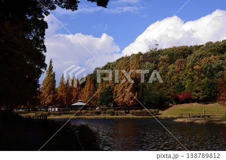 古賀グリーンパークの紅葉 古賀グリーンパークの紅葉 138789812