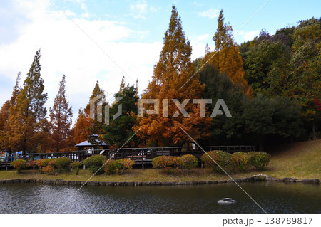 古賀グリーンパークの紅葉 138789817