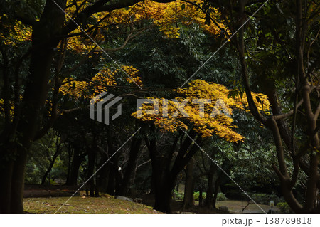 東峰村の紅葉 138789818
