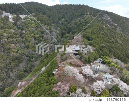 箸蔵寺 高灯籠と桜 俯瞰遠距離空撮写真 徳島春風景 箸蔵寺 高灯籠と桜 俯瞰遠距離空撮写真 徳島春風景 138790156