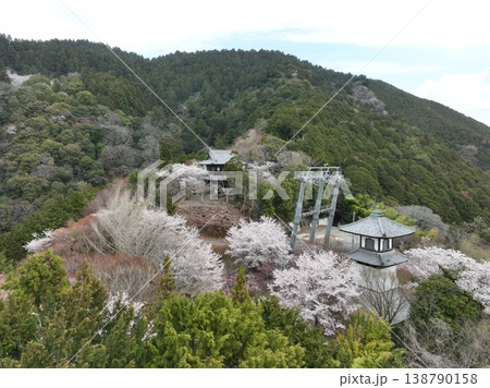 箸蔵寺 高灯籠と桜 俯瞰中距離空撮写真 徳島春風景 箸蔵寺 高灯籠と桜 俯瞰中距離空撮写真 徳島春風景 138790158