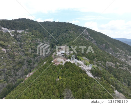 箸蔵寺 高灯籠と桜 俯瞰高高度遠距離空撮写真 徳島春風景 138790159