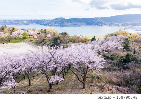 春の大平山公園 138790348
