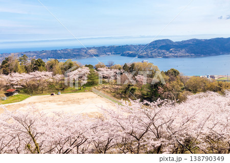春の大平山公園 138790349