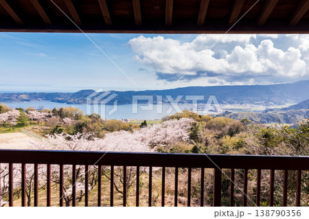 展望台から眺める大平山公園の桜と東郷湖 138790356