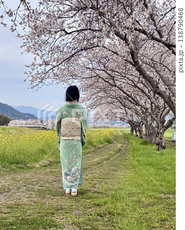桜並木を歩く着物の人の後ろ姿 138790468