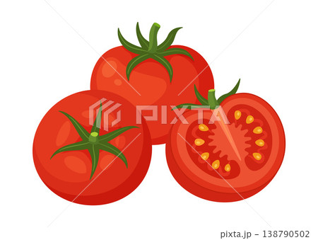 Group of red tomatoes. two whole fruits and one half cut showing seeds. Hand drawn flat style Group of red tomatoes. two whole fruits and one half cut showing seeds. Hand drawn flat style 138790502