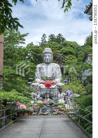 大仏と紫陽花が彩る日本の壷阪寺の風景 大仏と紫陽花が彩る日本の壷阪寺の風景 138790851