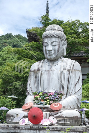 大仏と紫陽花が彩る日本の壷阪寺の風景 138790855