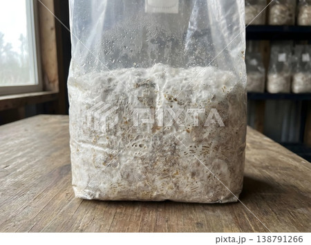 Fully Colonized Mushroom Grow Bag With Mycelium 138791266