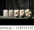 Lions Mane Growth Stages On Cultivation Blocks 138791292