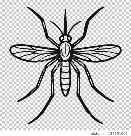 Mosquito Mosquito 138791661
