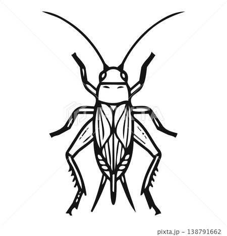 mosquito in wire carcass 138791662