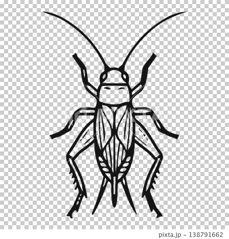 mosquito in wire carcass 138791662