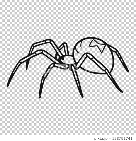 black silhouette of halloween spider black silhouette of halloween spider 138791741