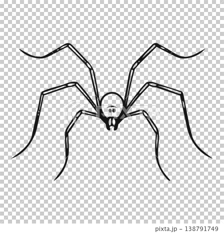 spider web in black and white style icon spider web in black and white style icon 138791749