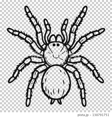 black spider with spider 138791751