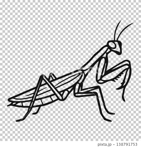 mosquito in wire carcass 138791753