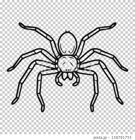 vector design of spider and spider icon 138791755