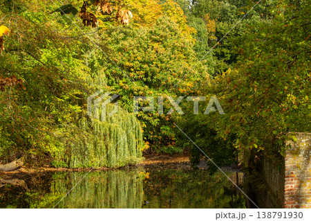Reflections of the the trees in the water. Photo of the canal in the Park of Burgh-Haamstede in the Netherlands. 138791930