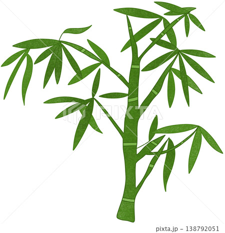 green bamboo plant green bamboo plant 138792051
