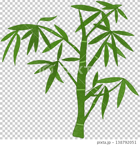 green bamboo plant green bamboo plant 138792051