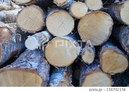 Sawn logs are stacked on the ground. Close-up of sawn logs. Logging, timber harvesting concept. Tree trunks 138792136