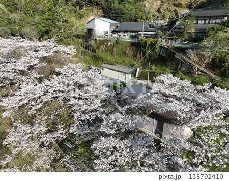 土佐穴内駅 桜と穴内川 青空春風景 空撮写真 138792410