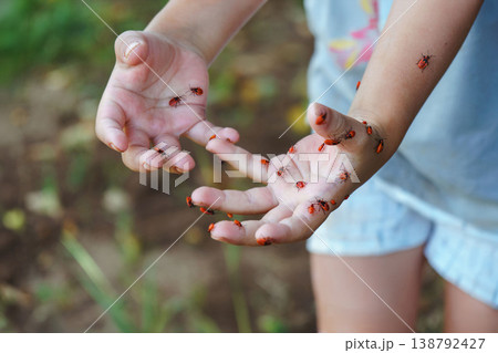 Child explores insects happily outdoors. Young child joyfully interacts with garden creatures Child explores insects happily outdoors. Young child joyfully interacts with garden creatures 138792427