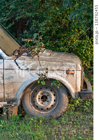 Old dirty off-road vehicle illuminated by evening light with a tree growing through it in garden 138792455