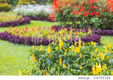 Peradeniya, Royal Botanic Gardens near of Kandy town in Sri Lanka. Vibrant Ornamental Garden with Yellow Flowers, Lush Green Grass, and Colorful Beds Under Sunny Sky, Perfect for Nature Themes 138793189