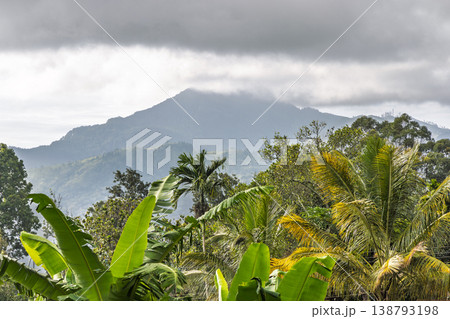 Ella rock mountain in Sri Lanka. Lush Tropical Mountains with Verdant Palm and Banana Leaves Under a Dramatic Cloudy Sky, Evoking Serene Natural Beauty Ella rock mountain in Sri Lanka. Lush Tropical Mountains with Verdant Palm and Banana Leaves Under a Dramatic Cloudy Sky, Evoking Serene Natural Beauty 138793198