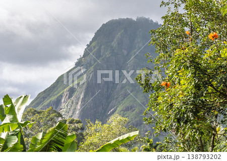 Ella rock mountain in Sri Lanka. Lush Tropical Mountainside Landscape with Dense Greenery and Overcast Sky, Serene Natural Beauty in a Vibrant Ecology Ella rock mountain in Sri Lanka. Lush Tropical Mountainside Landscape with Dense Greenery and Overcast Sky, Serene Natural Beauty in a Vibrant Ecology 138793202