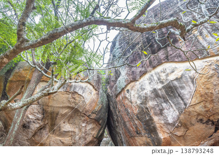 Sigiriya ancient rock fortress in Sri Lanka. Natural Rock Formation with Tree Branches and Foliage, Creating a Dynamic and Textured Abstract Landscape Sigiriya ancient rock fortress in Sri Lanka. Natural Rock Formation with Tree Branches and Foliage, Creating a Dynamic and Textured Abstract Landscape 138793248
