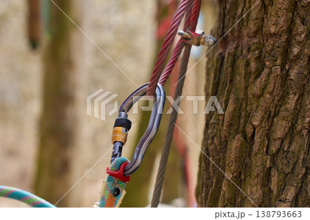 Closeup of locking carabiner attached to steel cable near tree trunk in rope park Closeup of locking carabiner attached to steel cable near tree trunk in rope park 138793663