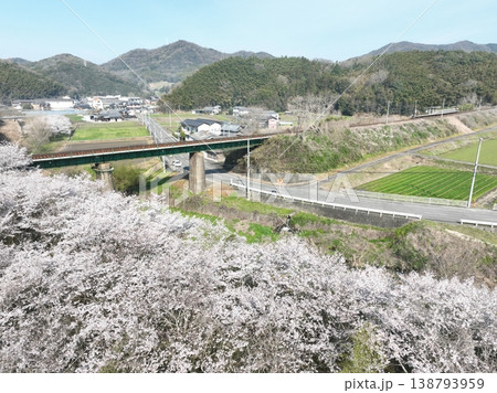 黒川橋りょう 桜と足高鉄橋 快晴春風景 空撮映像 138793959