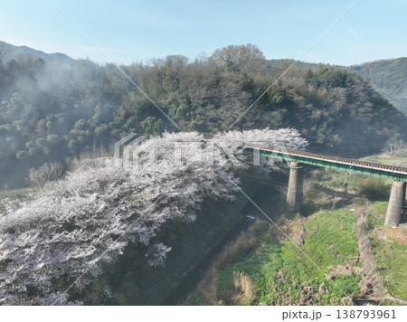 黒川橋りょう 桜と足高鉄橋 快晴春風景 空撮映像 138793961