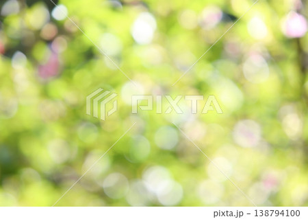 春の日差しにきらめく桜の若葉のアウトフォーカス 138794100
