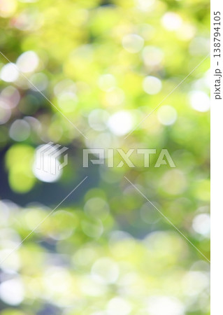 春の日差しにきらめく桜の若葉のアウトフォーカス 138794105