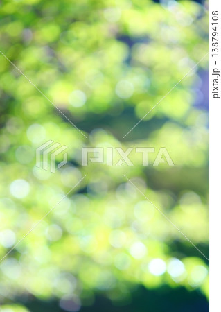春の日差しにきらめく桜の若葉のアウトフォーカス 138794108