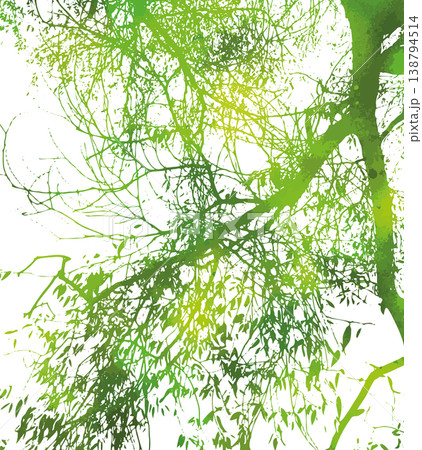 Silhouette of willow green tree branch. Not AI, vector illustration. Silhouette of willow green tree branch. Not AI, vector illustration. 138794514