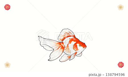 白和紙平塗背景に梅の花を配した金魚の和風イラスト　余白ありのシンプル素材 138794596
