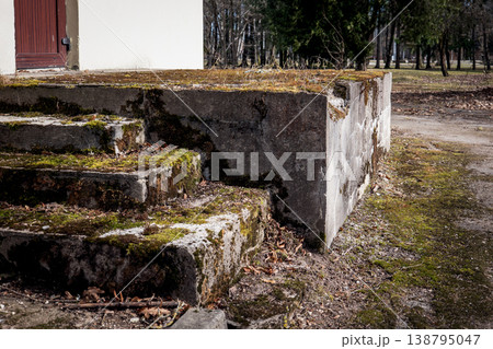 Deteriorating Concrete Stairs with Moss and Cracks at Building Entrance 138795047