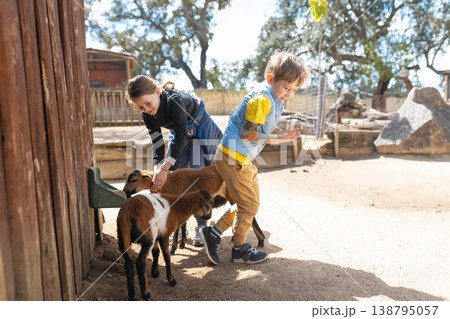Children interacting with young goats at petting zoo 138795057