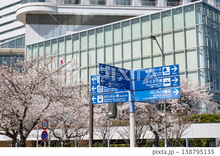 みなとみらいの案内表示板と桜 みなとみらいの案内表示板と桜 138795135